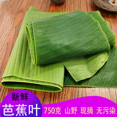 芭蕉叶新鲜糍粑粽子糕点糯米烧烤