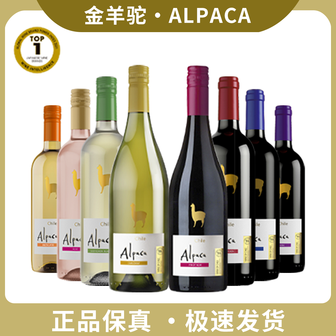 金羊驼智利进口ALPACA金羊驼梅洛干红葡萄酒750ml正品