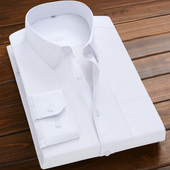 春秋职业上班条纹衬衣服黑色通勤休闲商务正装 白衬衫 新款 长袖 男士