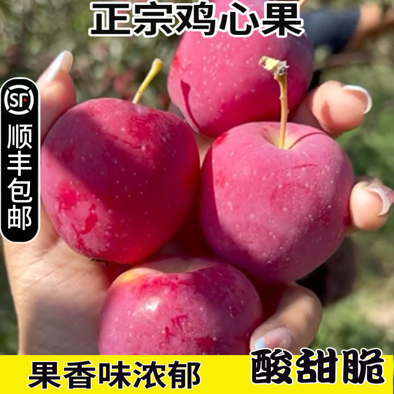 回乡创业鸡心果酸甜脆爽果香浓郁图片