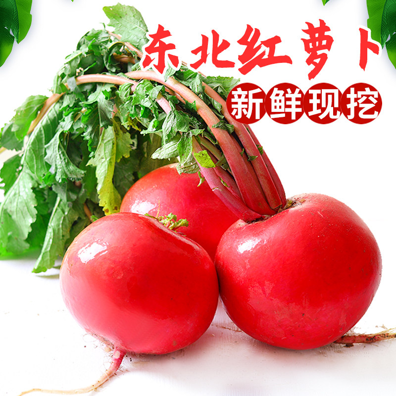 东北大红萝卜 红皮白心萝卜雌性甜脆萝卜生吃圆萝卜 沙窝萝卜