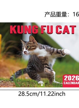 亚马逊2026年日历台历 PISSED-DFF CATS 生气猫挂历墙面骑马钉