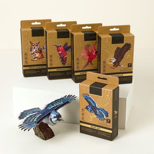 亚马逊新款 Bird Assembly Kit 鸟类组装套件DIY纸板模型折纸套件