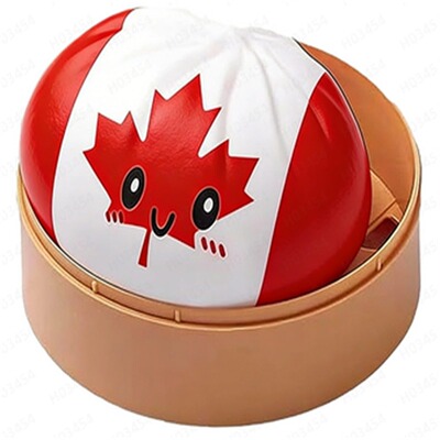 跨境新2026 World Cup Dumpling Squishy 世界杯饺子造型解压玩具