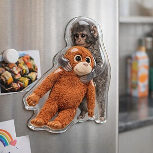 跨境创意新款 Monkey Refrigerator Magnets 保护拳击猴子冰箱贴
