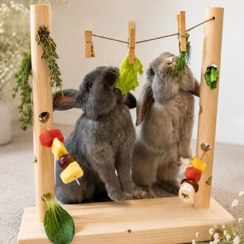 独立站新品 Rabbit Enrichment Toy 兔子益智玩具宠物喂食训练器