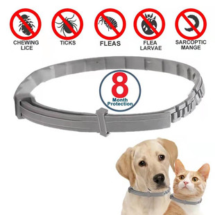 Ticqks Flea Antiparasitic Cats Retractab 极速Dog Collar Anti