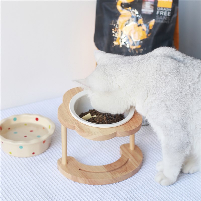极速猫碗陶瓷高脚木架保护颈w椎猫食盆斜口防打翻狗碗狗盆幼猫双