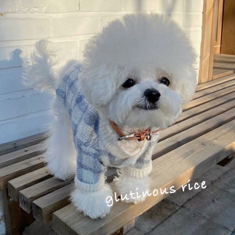 极速秋冬装宠物针织毛衣猫咪衣服A博美贵宾狗狗泰迪比熊小型幼犬
