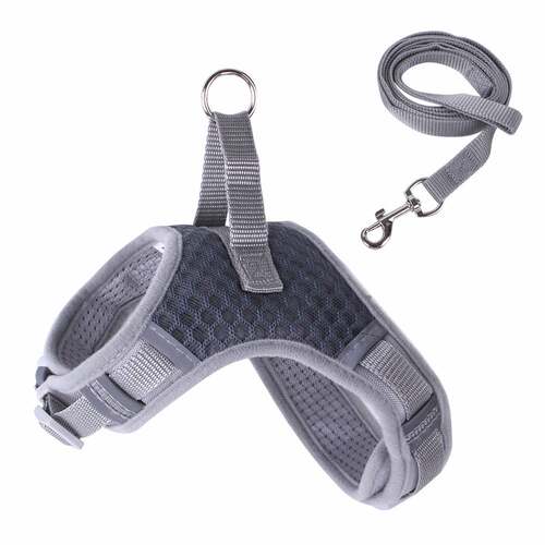 极速Amazon Pet Chest and Back ManufaGcturer Pet Traction Rop