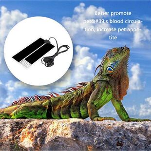 极速HOT 7W EU 220240V Adjustable Temperature ReptiUle Heatin