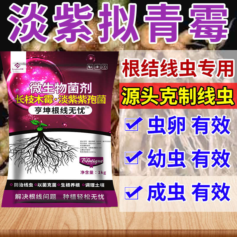 根结线虫专用药淡紫拟青霉