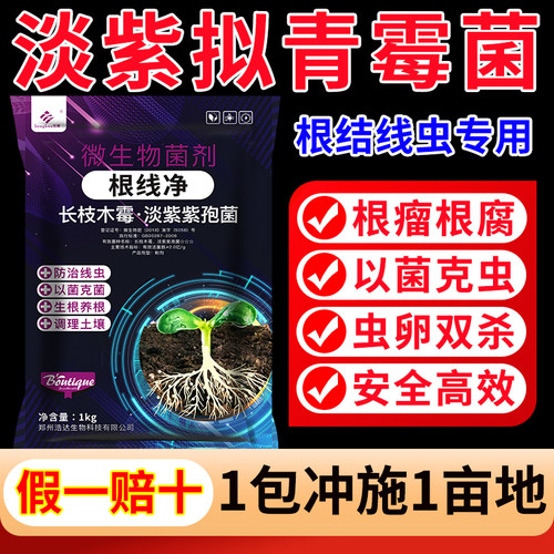根结线虫专用淡紫拟青霉淡紫紫孢菌根线虫根瘤菌剂根线清根线净