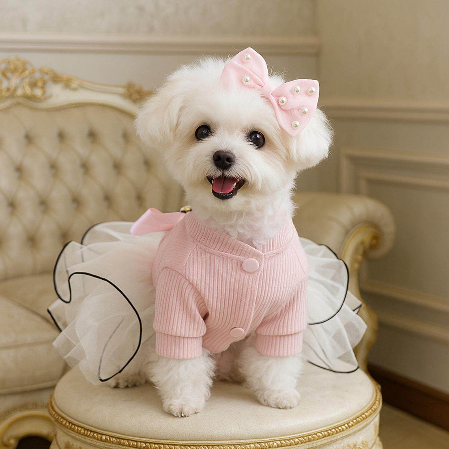 现货宠物服装宠物小狗猫咪粉色珍珠蝴蝶结发夹小型犬狗,模玩/动漫/周边/娃圈三坑/桌游,棉花娃娃场景道具娃屋,淘宝优惠券,粉丝福利购,淘宝优惠卷