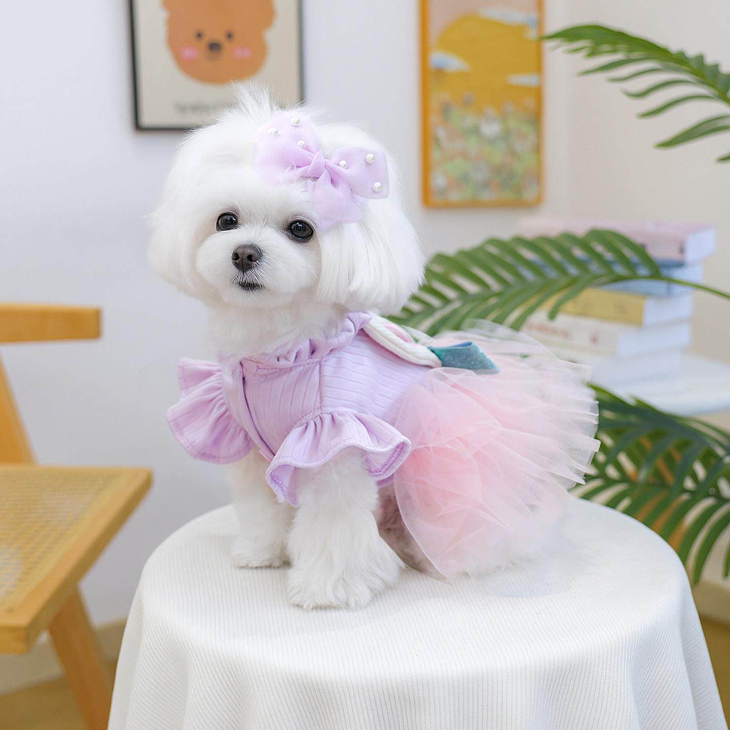 现货宠物服装宠物小狗猫咪粉色蝴蝶结发夹可爱小型犬,模玩/动漫/周边/娃圈三坑/桌游,棉花娃娃场景道具娃屋,淘宝优惠券,粉丝福利购,淘宝优惠卷