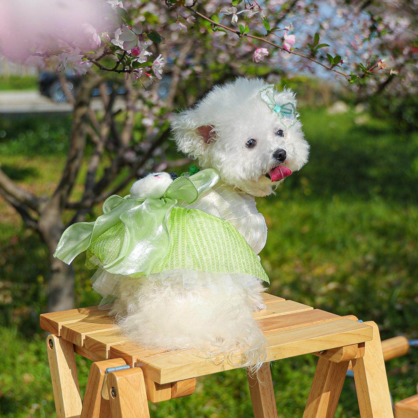 PETCIRCLE宠物小狗猫咪衣服可爱小型犬春夏季可爱熊猫蓬蓬裙,模玩/动漫/周边/娃圈三坑/桌游,棉花娃娃场景道具娃屋,淘宝优惠券,粉丝福利购,淘宝优惠卷