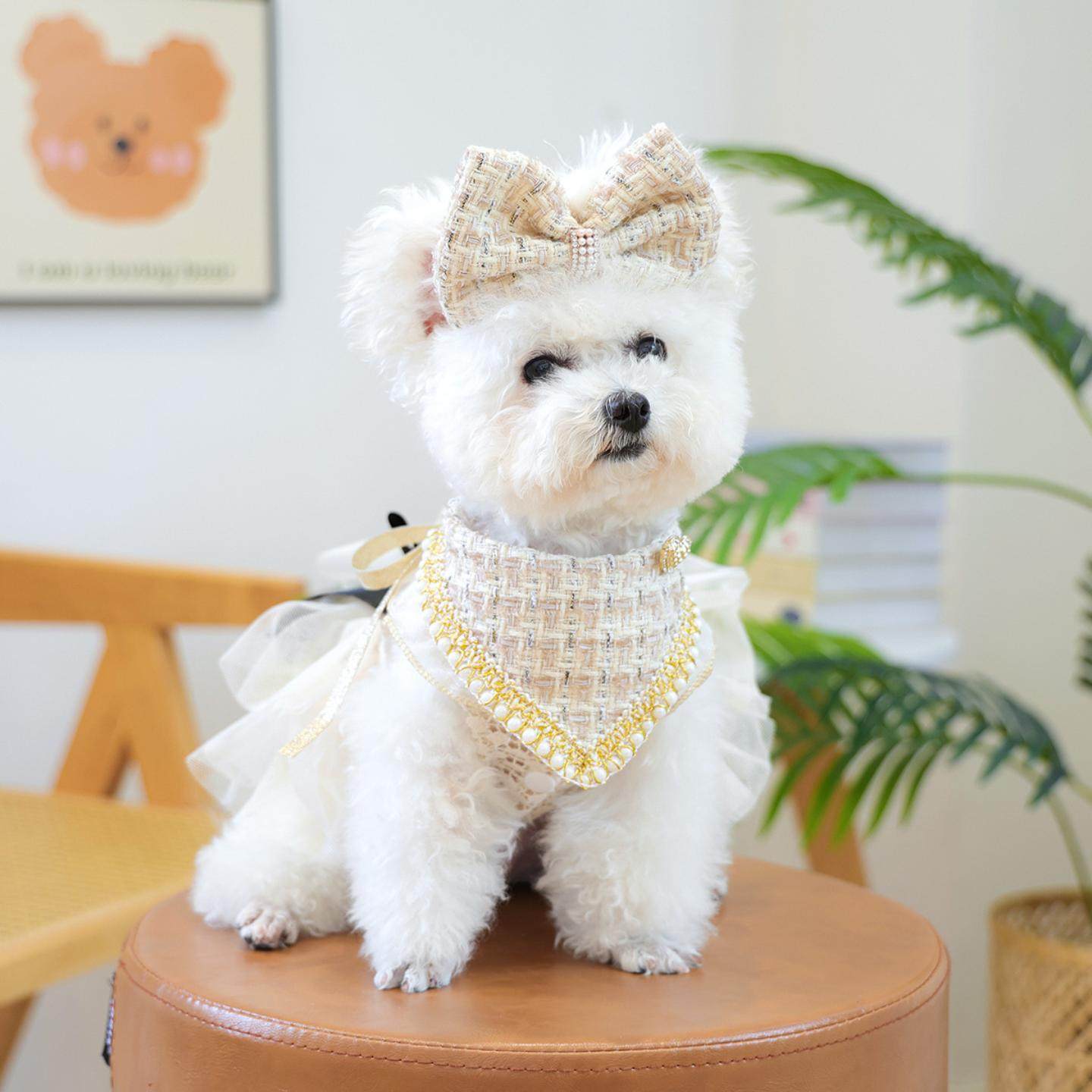 PETCIRCLE宠物圈可爱工厂小狗猫咪香风系列围嘴头饰项链组合装,模玩/动漫/周边/娃圈三坑/桌游,棉花娃娃场景道具娃屋,淘宝优惠券,粉丝福利购,淘宝优惠卷