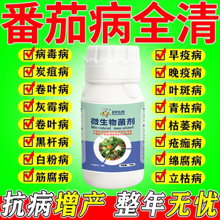 番茄病菌清西红柿病毒病专用药防治卷叶病炭疽灰霉早晚疫病杀菌剂
