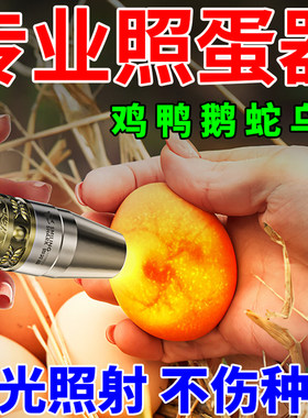 照蛋器强光手电筒孵化专用冷光灯鹌鹑小鸡蛋乌龟蛋种检查验蛋神器