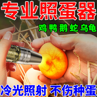 照蛋器强光手电筒孵化专用冷光灯鹌鹑小鸡蛋乌龟蛋种检查验蛋神器