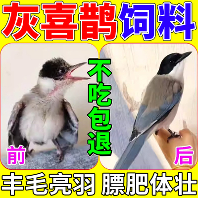 灰喜鹊鸟粮提性开口营养饲料红嘴蓝鹊松鸦通用益生菌亮羽壮膘粮食
