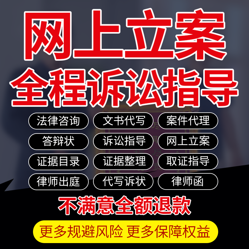 律师法律咨询服务代网上立案写起诉答辩状上诉讼书指导接办案代理