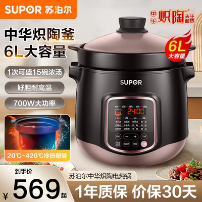 【商超同款】苏泊尔DG60YC13电炖锅多功能家用6L电炖盅养生烹饪机