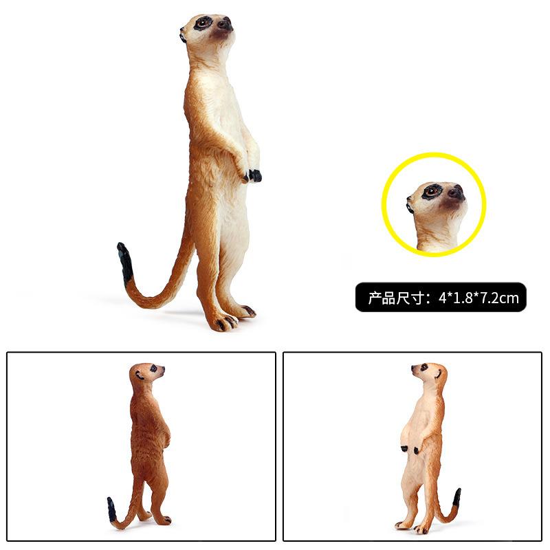 实心仿真野生动物模型玩具狐獴细尾獴猫鼬灰爪狸儿童模玩摆件