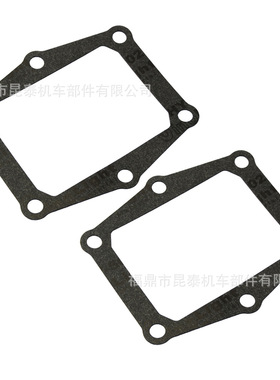 2片装 发动机接口密封圈替换垫片 G305 用于 V305A VForce 簧片阀