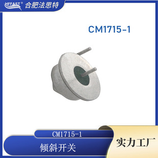 CW1715-1 滚珠 倾斜开关 角度开关 15°+-5°倾斜传感器 Normally