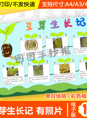 绿豆芽生长记手抄报小学生绿豆芽观察日记成长记录自然笔记电子版