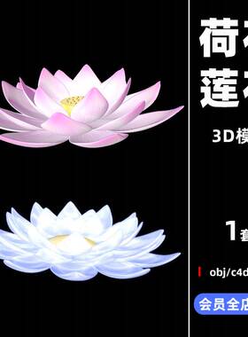 C4D莲花荷花卉植物动画工程模型3D立体obj建模设计素材下载C3345