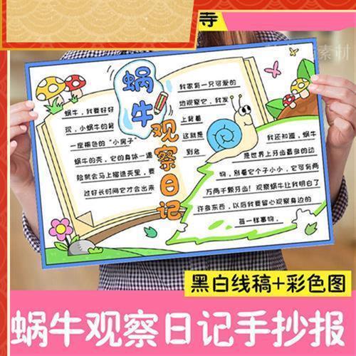 自然笔记手抄报模板昆虫记小报儿童画线稿8K电子素材蜗牛观察日记