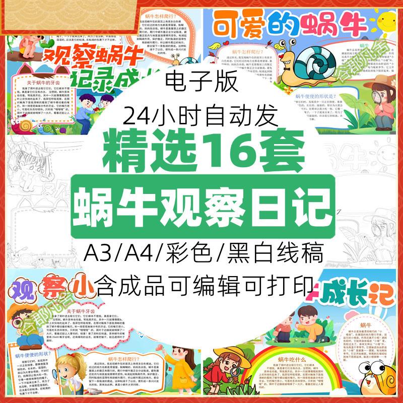 蜗牛成长观察记录小报模板昆虫生长日记电子手抄报模版素材8KA3A4