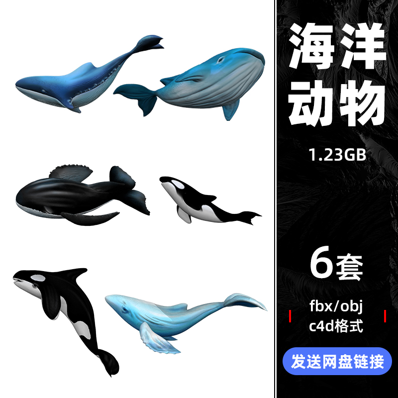 C4D立体3D海洋动物鲸鱼虎鲸座头鲸素材OBJ建模型FBX设计源文件232