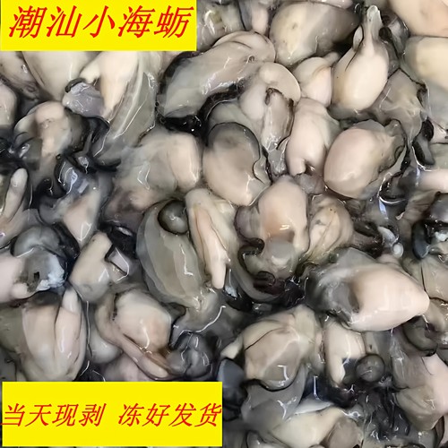 潮汕鲜活现剥去壳小蚝肉当天发货