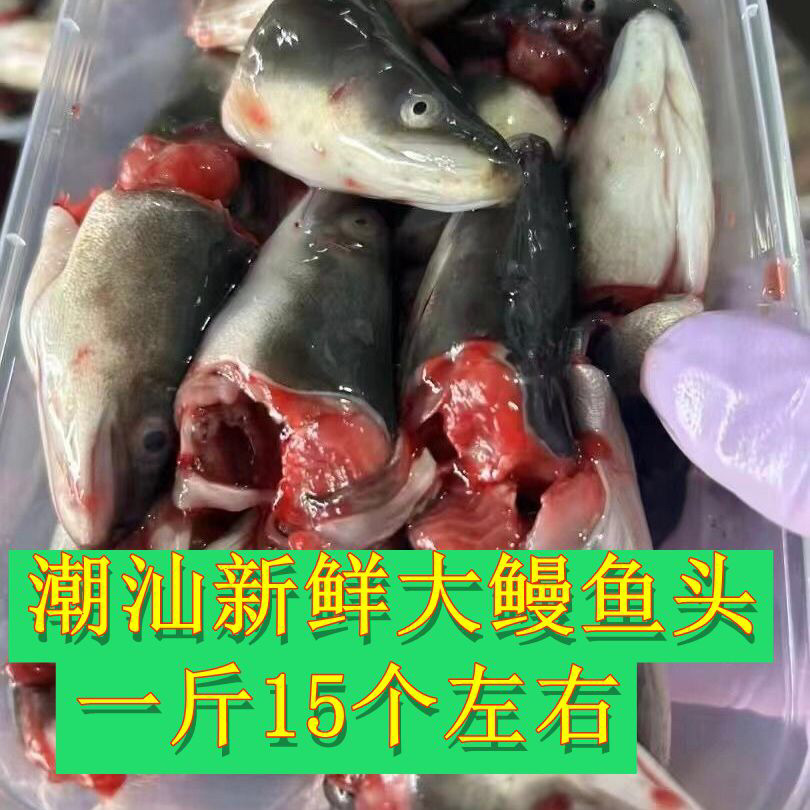 潮州海鲜新鲜鳗鱼头乌耳鳗鲜黑鳗鱼头潮汕特产白鳝头冷冻河鳗头潮