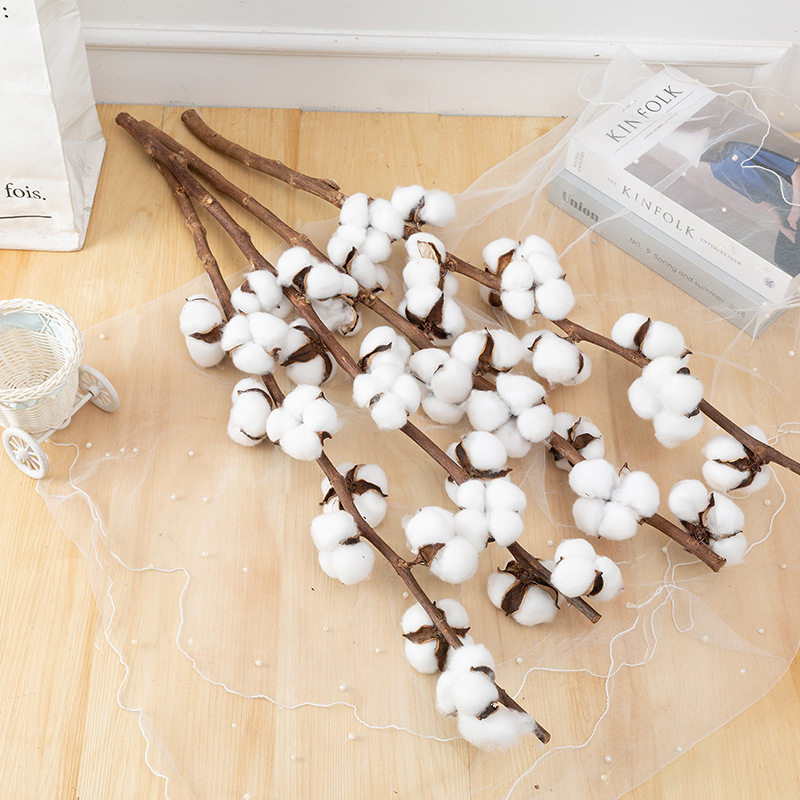 仿真棉杆田园风格家居客厅装饰插花摄影道具天然棉花婚礼场景布置