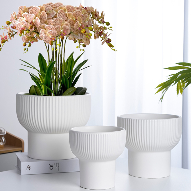 花盆陶瓷家用白色简约客厅蝴蝶兰专用轻奢高级大号口径虎皮兰盆栽