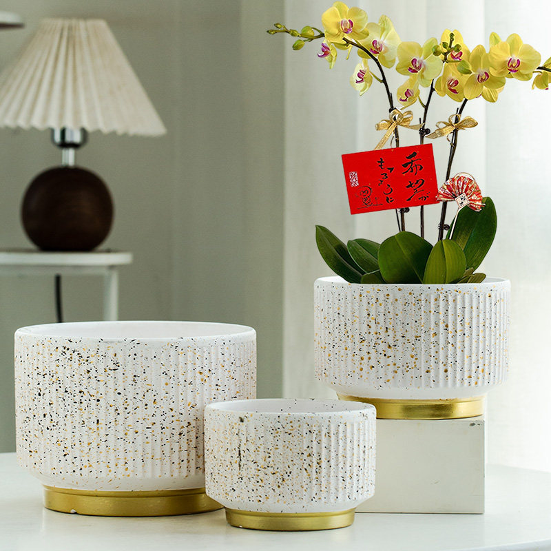 北欧风ins陶瓷花盆蝴蝶兰专用郁金香绿萝大号绿植盆阳台室内桌面,鲜花速递/花卉仿真/绿植园艺,花盆,淘宝优惠券,粉丝福利购,淘宝优惠卷