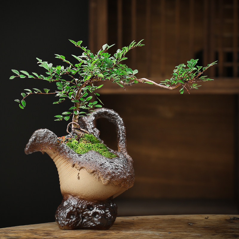 复古粗陶多肉花盆陶瓷透气陶罐文竹六月雪造景盆景盆手工切口破缸