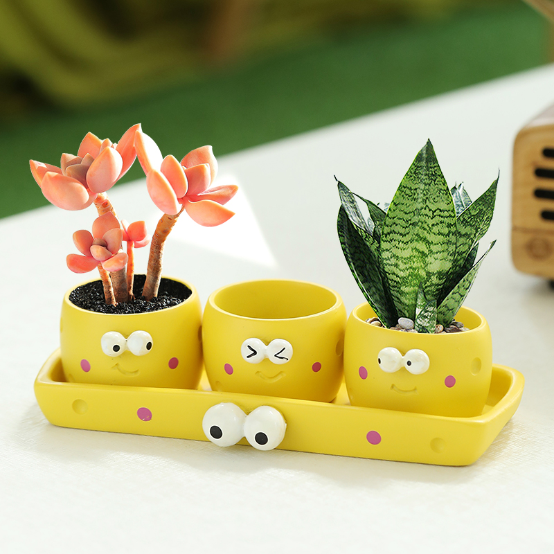 卡通拇指盆专用苔藓微景观室内蕨类植物超迷你小盆栽桌面绿植花盆