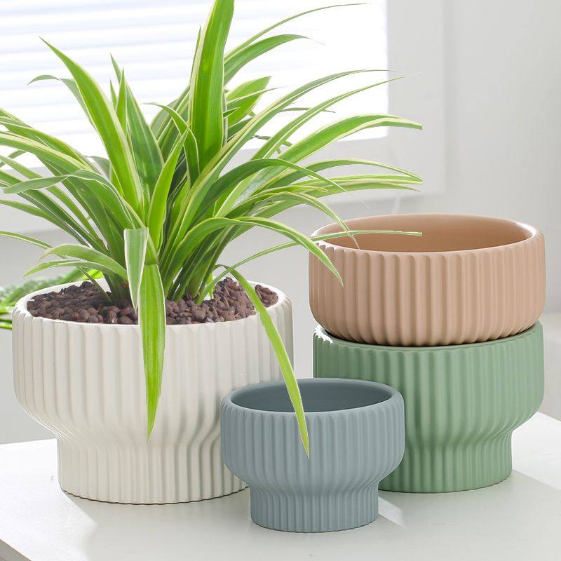 奶油风简约竖纹高级感多肉陶瓷花盆蝴蝶兰矮花盆专用家用大号口径,鲜花速递/花卉仿真/绿植园艺,花盆,淘宝优惠券,粉丝福利购,淘宝优惠卷
