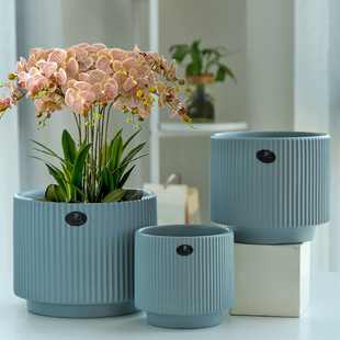 陶瓷花盆黑白灰简约家用室内发财树蝴蝶兰专用盆吊兰多肉绿植大盆