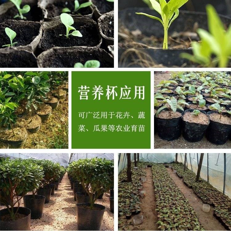 育苗营养杯塑料营养袋育苗袋大号苗木一次性黑色育苗盆营养钵 Изображение 1 育苗营养杯塑料营养袋育苗袋大号苗木一次性黑色育苗盆营养钵 Изображение 1