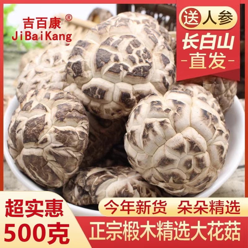 长白山大花菇干货椴木大个500g