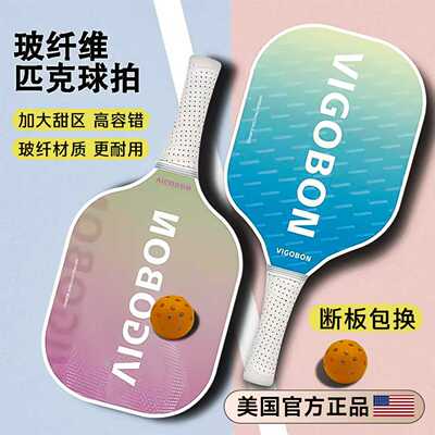 匹克球儿童成人专业级球拍全套