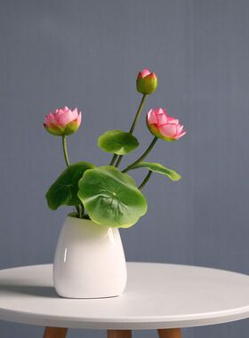 新中式供清新仿真荷花观