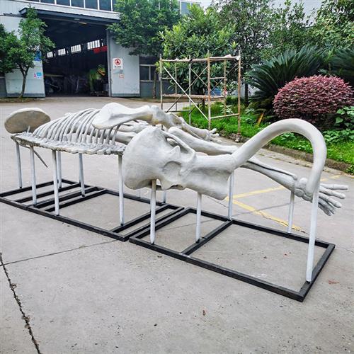 大型仿真猛犸象化石模型摆件科普玻璃钢动物化石骨架模型电影道具