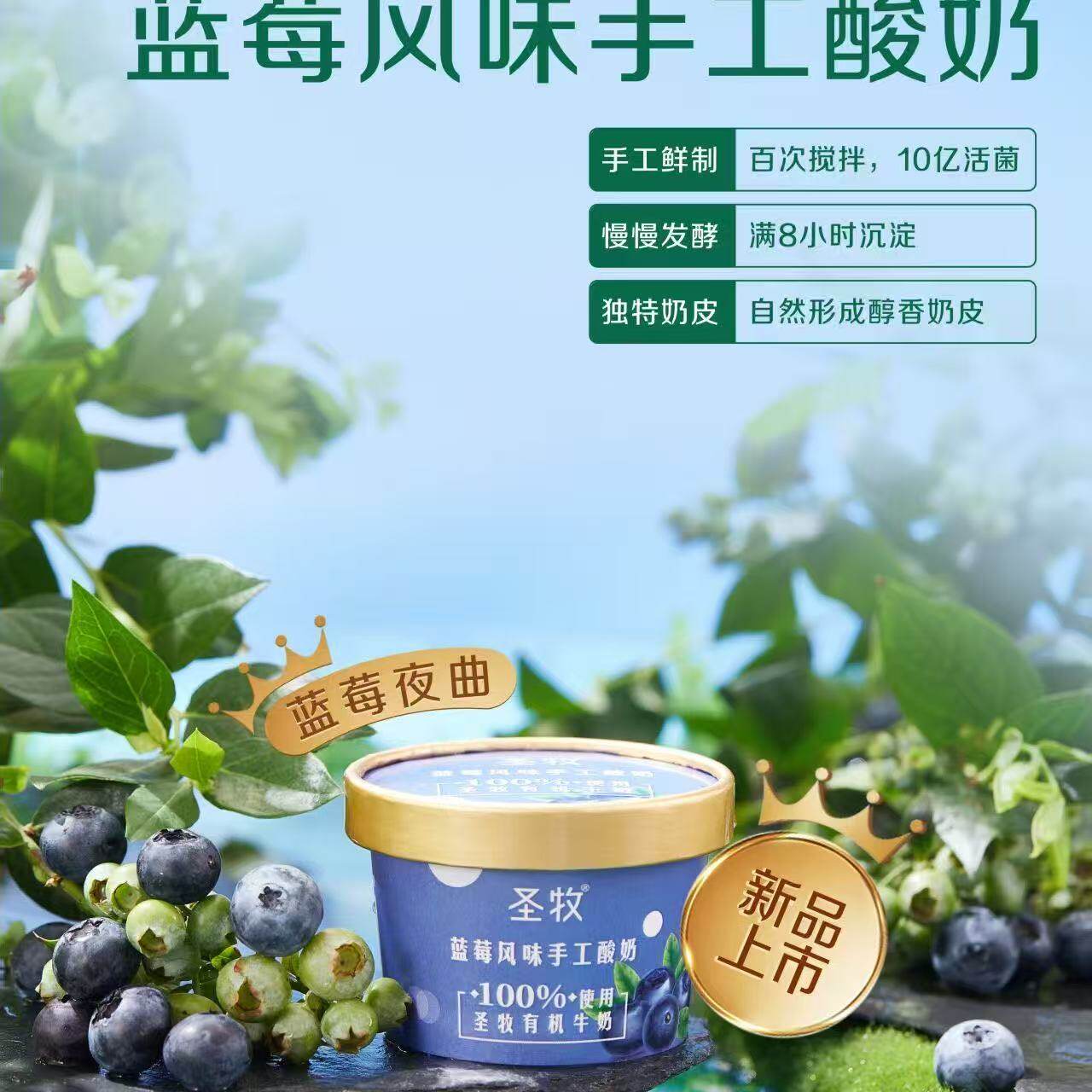 【多种口味】新品当天日期正宗有机手工网红圣牧酸奶奶皮子酸奶